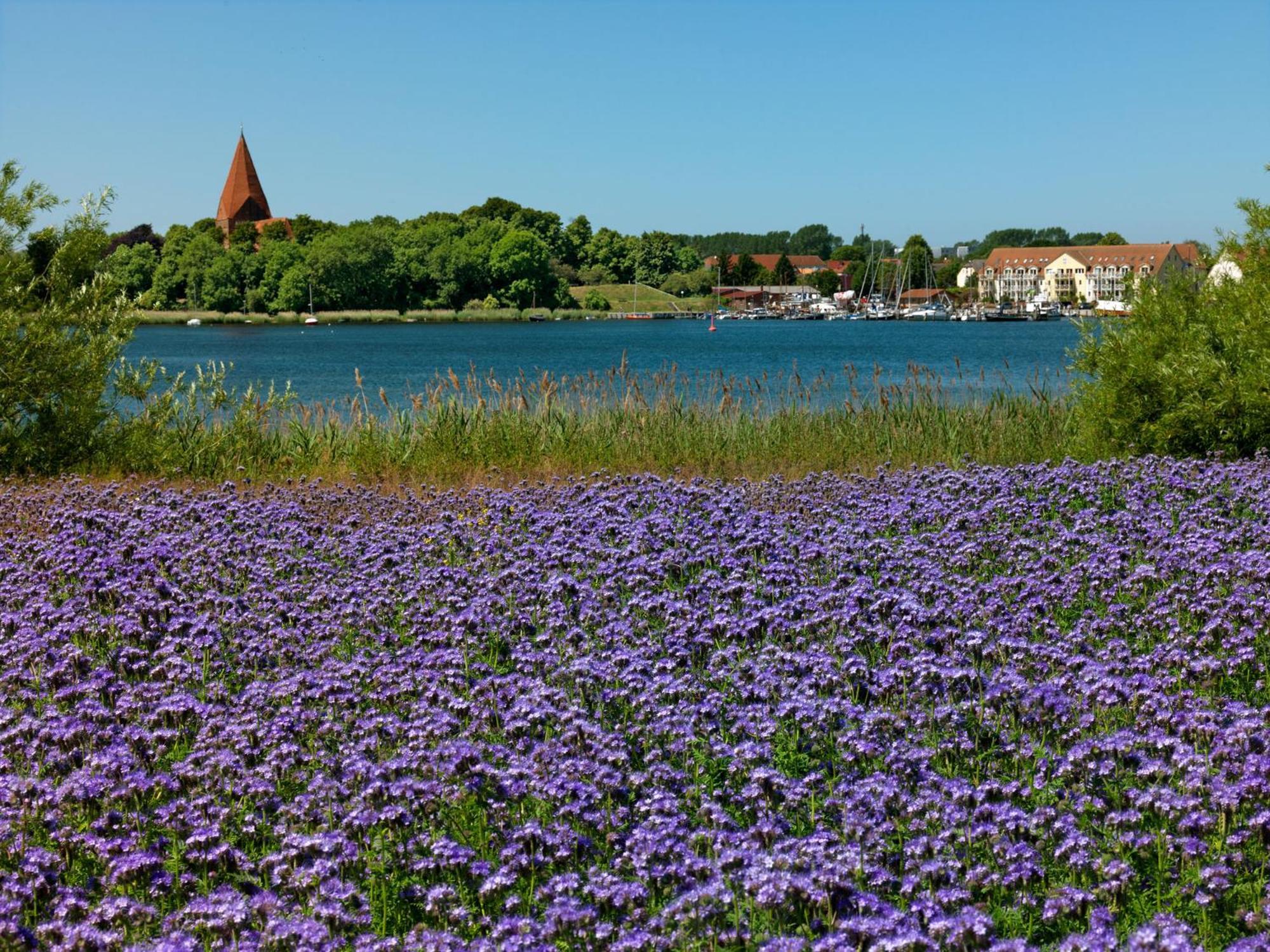 Kirchdorf Residenz Am Yachthafen Windspiel公寓 外观 照片